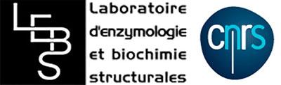 Laboratoire d' Enzymologie et Biochimie Structurales - UPR 3082 CNRS Logo